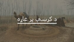 د ټولنیزو رسنیو لپاره د ویډيوګانو اېستلو کې ځوان کهول پام کوي؟