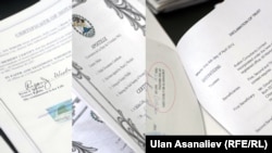Кыргызстандын бийлиги жарыялаган Белизден келген документтердин сүрөтү