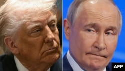 Президент США Дональд Трамп (слева) и президент РФ Владимир Путин (комбинированное фото)