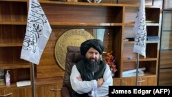 ندامحمد ندیم، سرپرست وزارت تحصیلات عالی حکومت طالبان