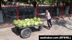 Туркменистан (иллюстративное фото)  