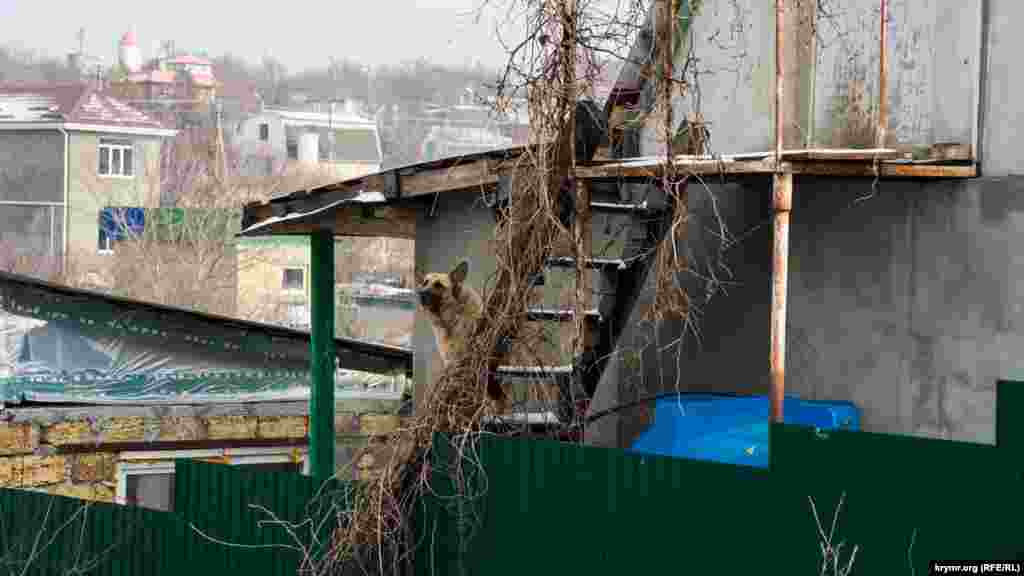 Всегда начеку