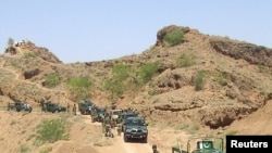 د ارشیف انځور 