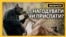 «Нагодуй звірятко онлайн»: зоопарки Чехії – у скруті через відсутність відвідувачів (відео)