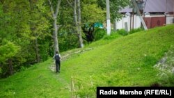 Нохчийчоь--Тевзан, 2016