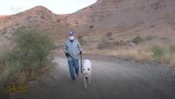 Berdimuhamedow alabaý bilen ylgawa çykdy