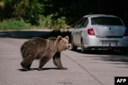 Septembrie 2023, Covasna.