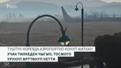 Түштүк Корея: 170тен ашуун өмүрдү алган учак кырсыгы  