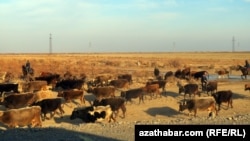 Illýustrasiýa suraty.