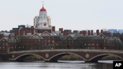 Бостон шаарындагы Гарвард университети