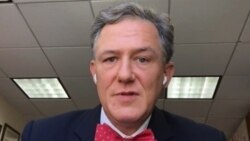 Senior U.S. Diplomat Criticizes The Lack Of OSCE Observers For Belarusian Election