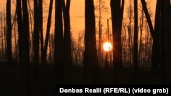 Світанок на позиціях українських бійців в Серебрянському лісі