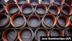 Ще на п’ять компаній накладено загальний штраф на суму понад 234 мільйони злотих (61,2 млн доларів)