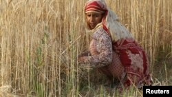 Растат ризиците по снабдувањето со вода и храна поради климатските промени 