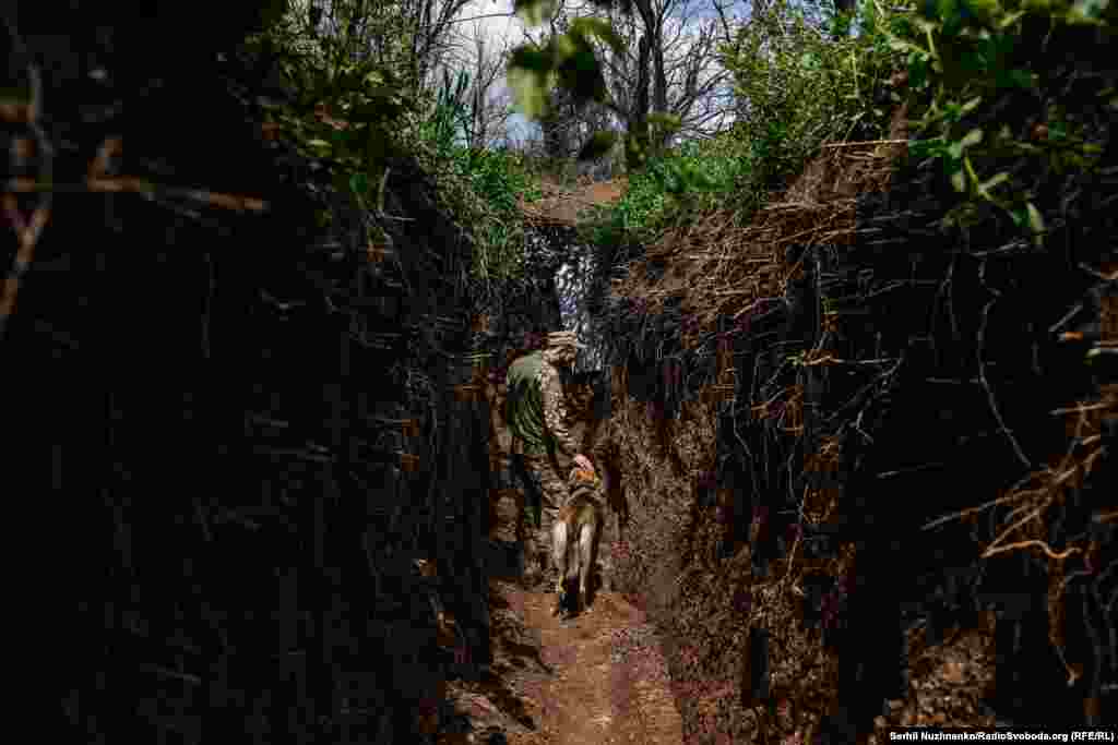 Український військовий і пес Кубик в районі Красногорівки та Мар’їнки. Донецька область, травень 2023 року