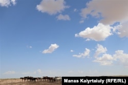 Табун лошадей рядом с зимовкой Улек. Правительство Казахстана выделило на борьбу с засухой 1,9 миллиарда тенге (4,4 миллиона долларов) из госрезерва. Их, как сообщалось, направят на частичное возмещение затрат на корма для маточного поголовья животных, состоящего на учете