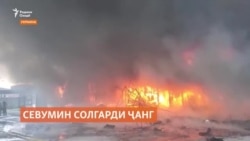 Зиёни тоҷикон аз се соли ҷанг дар Украина