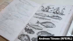 Carte de biologie marină expusă în Muzeul Hărților.