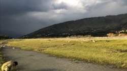 د سوات درشخېله - د ارشیف انځور 