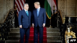 Віктар Орбан і Дональд Трамп, Флорыда, ЗША, 8 сакавіка 2024 году