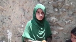 پلوشه برای ادامه تعلیم منتظر پایان جنگ است