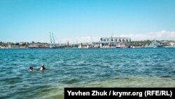 Деякі виявлені хімічні речовини небезпечні для морського життя і життя людини