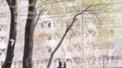 «Призывы к массовым беспорядкам». В Бишкеке арестовали журналистку за посты в соцсетях